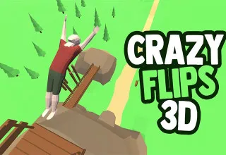 Crazy Flips 3D
